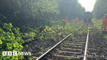 Trains disrupted after landslip blocks railway line