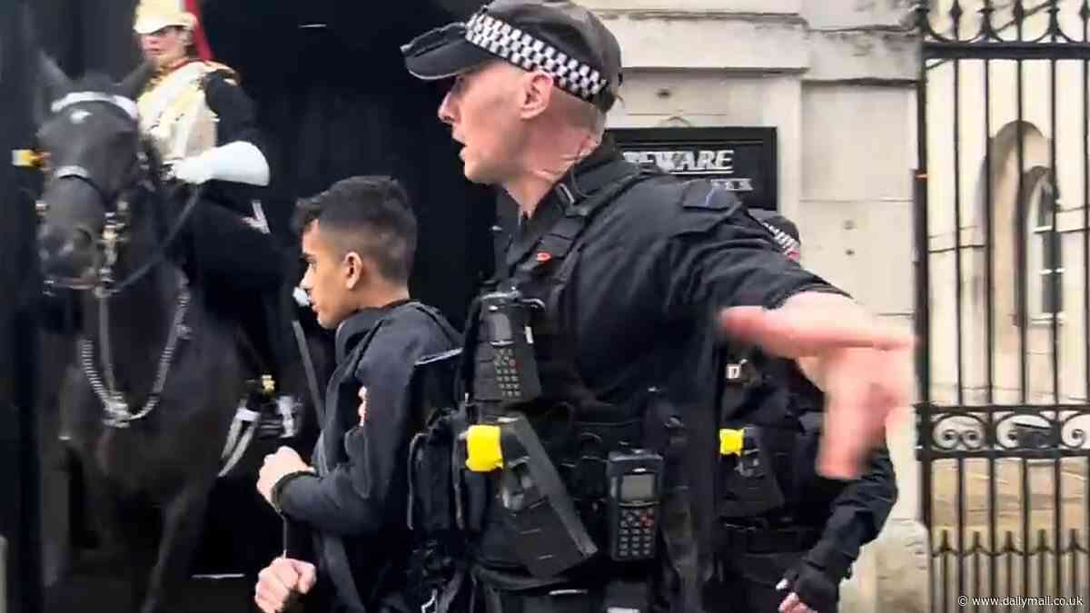 Moment armed police arrest TikToker poking his microphone under nose of King's Guard horse and its rider - and he'd previously been held outside Downing Street too