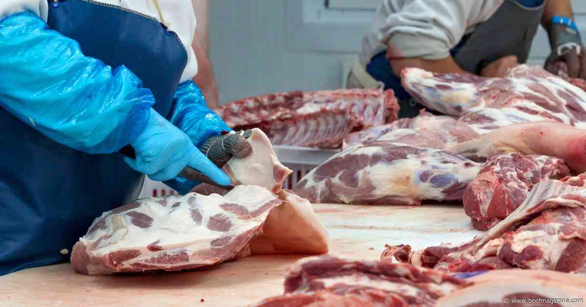 Meat Institute guidance fights child labor, identity fraud