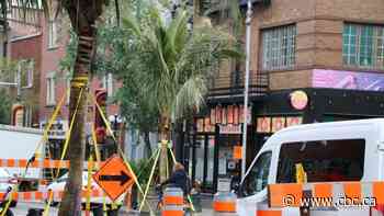 Palm trees on Montreal's Ste-Catherine Street as film crew takes over the Village