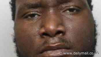 Zimbabwean asylum seeker, 34, who was jailed for possession of a hammer after racking up more than 60 convictions for drugs, robbery and assault is granted leave to remain in the UK