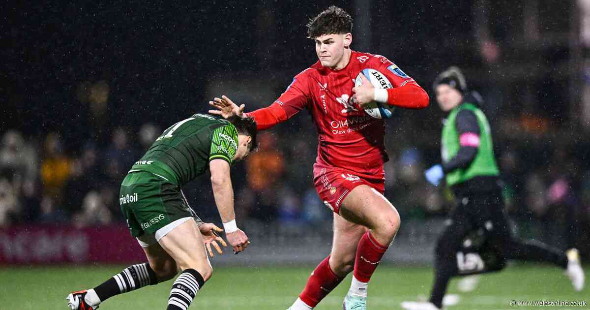 The Wales bolters fighting for Warren Gatland's attention