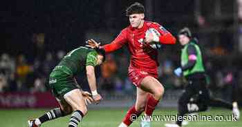 The Wales bolters fighting for Warren Gatland's attention
