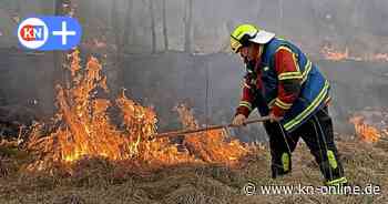 Feuerwehr bekämpft Flächenbrand: Feuer im Moor bei Nahe und Itzstedt