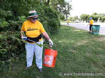 Toledo Litter League registration gets under way