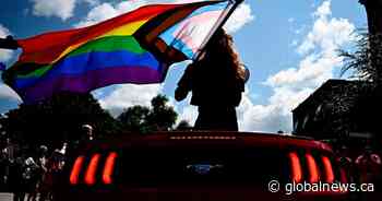 New Brunswick town’s mayor defends policy that prohibits Pride banners on lampposts