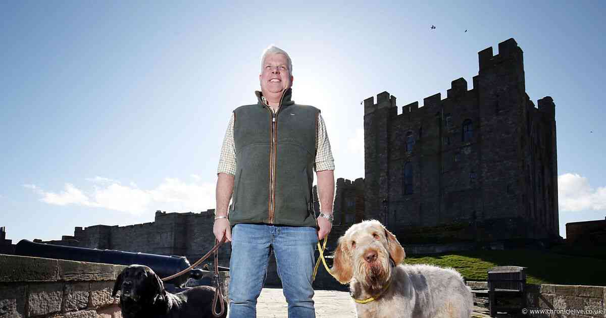 Dog-sitting service to return to Northumberland's Bamburgh Castle for second summer season