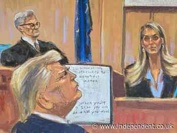 Trump trial live: Hope Hicks testifies Trump tried to keep newspapers from Melania after Playboy affair story