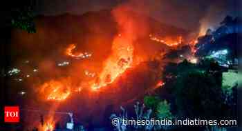 Uttarakhand forest fire claims third life in 24 hours