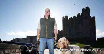 Dog-sitting service to return to Northumberland's Bamburgh Castle for second summer season