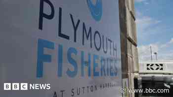 Plymouth fish market company set to cease trading