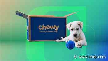 Stock Up on Pet Essentials With These Chewy Deals     - CNET