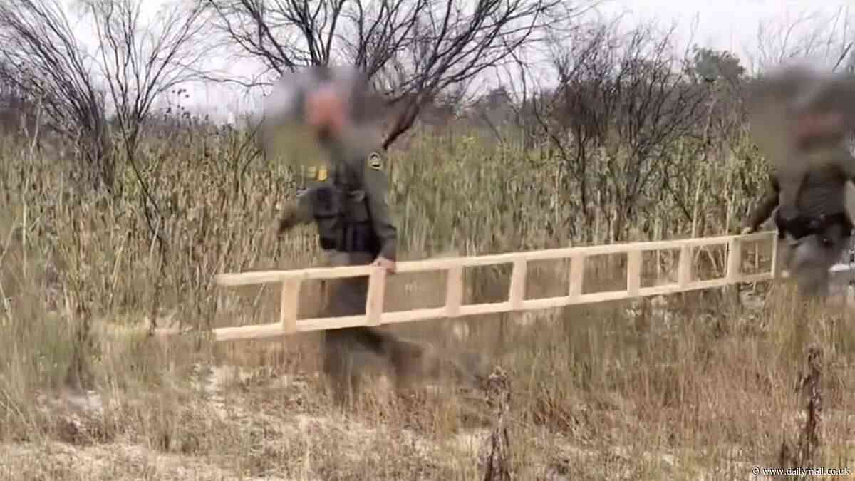 Border cops seize group of migrants who used a 10-15 foot LADDER to scale the border wall
