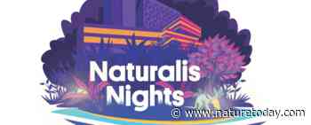 Naturalis Nights: Biodiversiteitsdag 