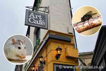 Oxford’s Art Cafe had ‘mice and flies’ during inspection