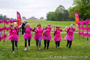 Take part in breast cancer charity walk at Blenheim Palace