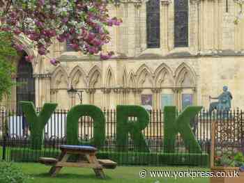 Look - we did have a spring! 10 photos of spring in York