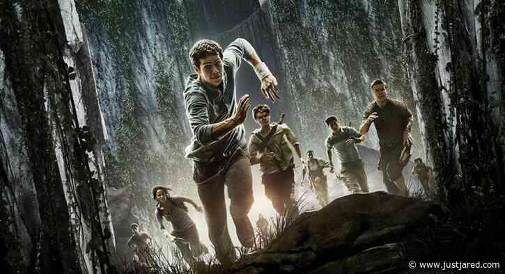 'The Maze Runner' Reboot in The Works, Details for New Movie Revealed