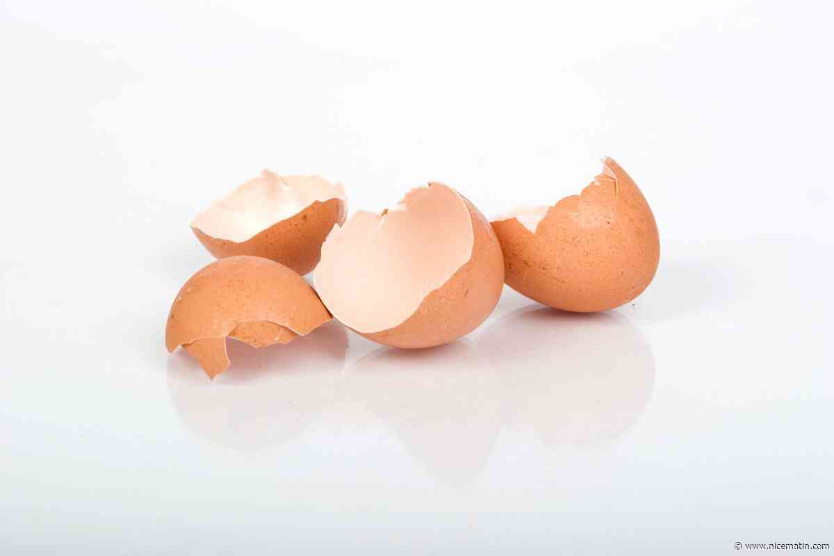 ANTI GASPI. Comment réutiliser (vraiment) les coquilles d'œuf? Des scientifiques démêlent le vrai du faux