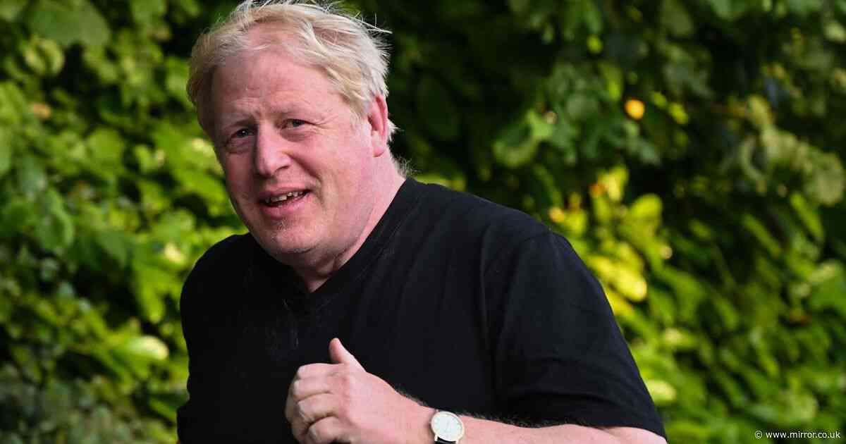 Boris Johnson admits trying to use strange item as voter ID despite introducing the rules as PM