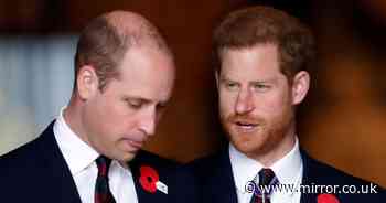 Prince Harry 'invited William and family to Invictus Games service but got no response'