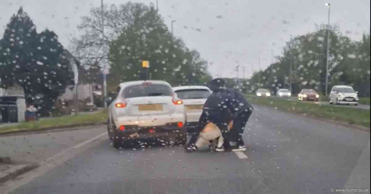 Road rage 'madness' as three men brawl on busy road as shocked drivers watch on