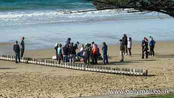 Tragedy as swimmer dies after being pulled unresponsive from the water by beachgoers at Cosy Corner beach in Torquay