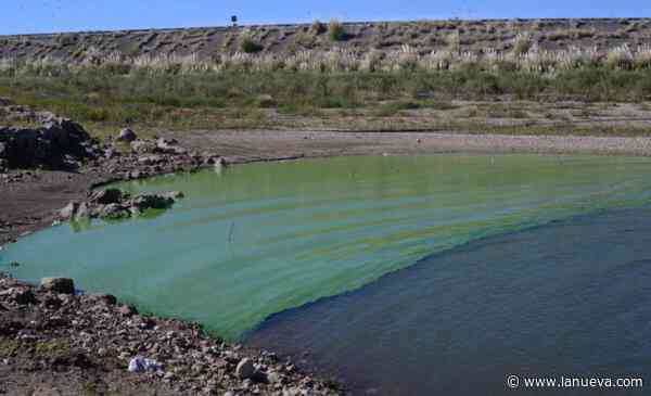 Por cianobacterias en el agua, la Provincia recomienda no pescar en el Dique Paso de las Piedras