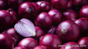 Govt Lifts Ban On Onion Exports, Sets Minimum Export Price Amid Lok Sabha Elections