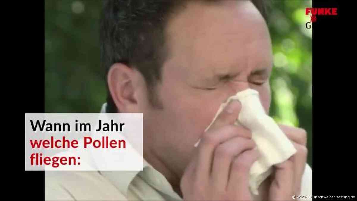 Pollenflug immer früher: Expertin rät zu diesem Schutz
