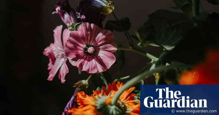 Should plants be given rights? What new botanical breakthroughs could mean