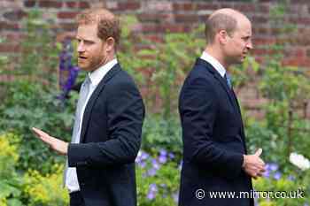 Prince Harry delivers fresh blow to Prince William that dashes hope of reconciliation