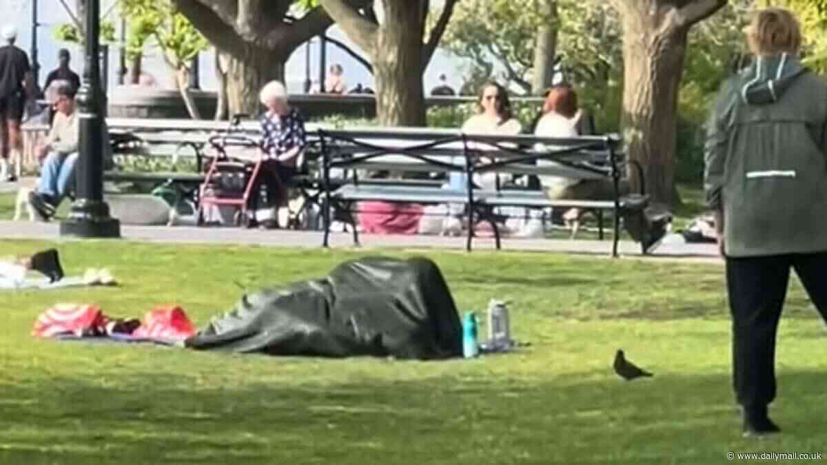 Video shows couple appearing to have sex under a blanket in broad daylight in New York park while children played nearby