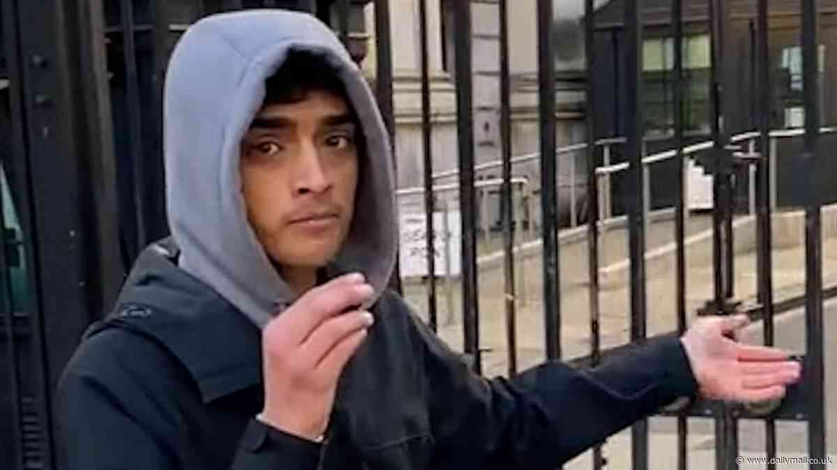 TikTok prankster who upset King's Guard horse, turned up at Downing Street demanding to be let in and climbed gates at Buckingham Palace gloats that his online pranks will make him rich