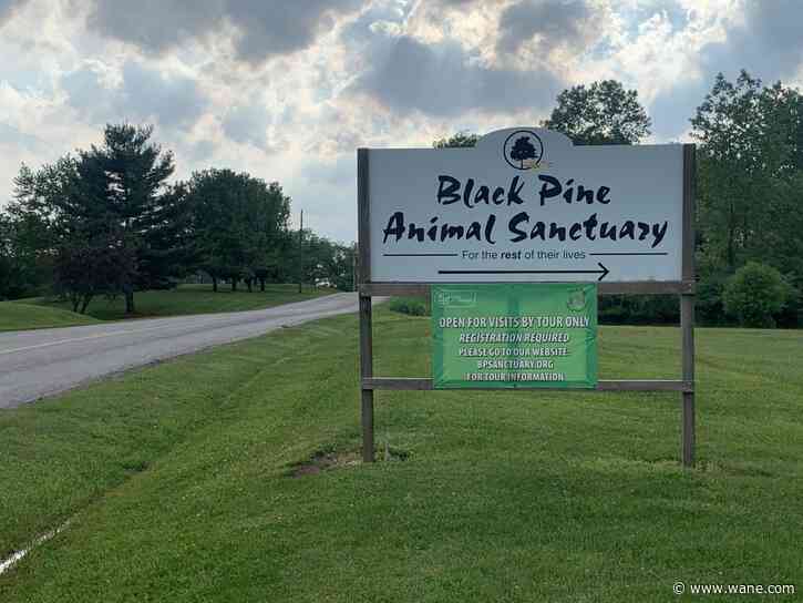 Black Pine Animal Sanctuary opens for the season!