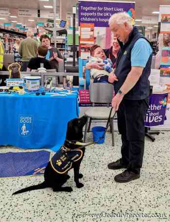 Ledbury and Malvern Guide dogs change lives for the better