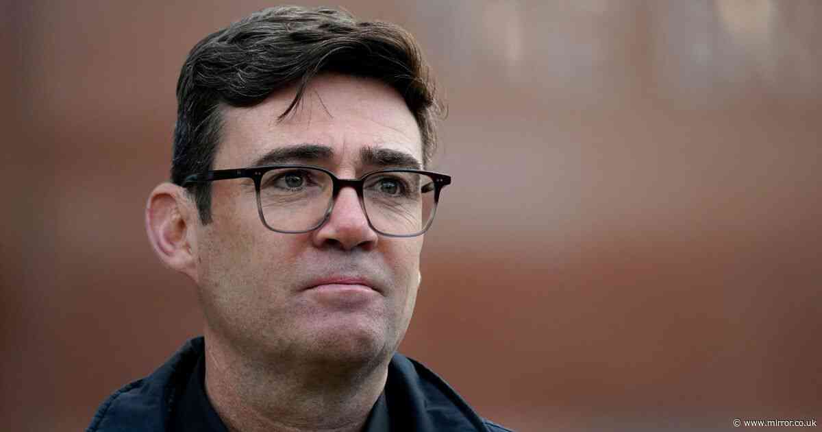 Andy Burnham re-elected as Mayor of Greater Manchester as 'King of the North' smashes Tories