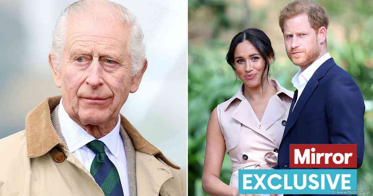 Meghan Markle will be the 'elephant in the room' during Prince Harry's meeting with King Charles