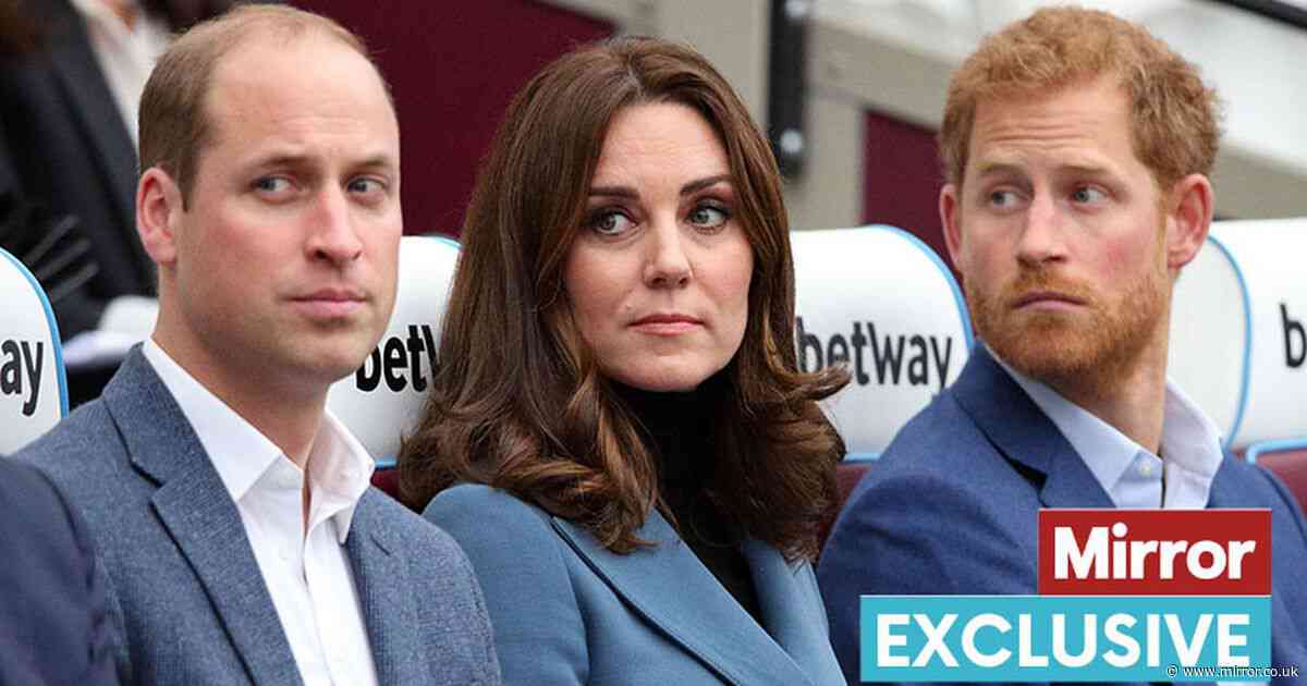 Prince Harry 'must pick right time' for William and Kate reunion, and it's not now - expert