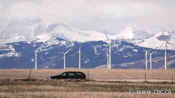 Alberta power company scraps wind farm project because of new renewable energy restrictions
