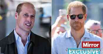 Prince Harry 'highly unlikely' to see Prince William during visit for emotional reason