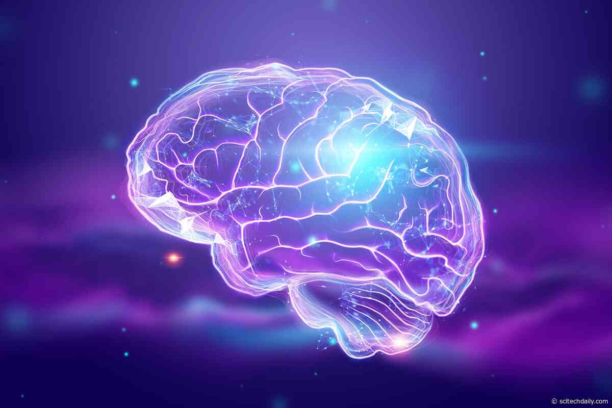 New Hope for Neurological Disorders: Scientists Have Discovered How an Essential Nutrient Enters the Brain