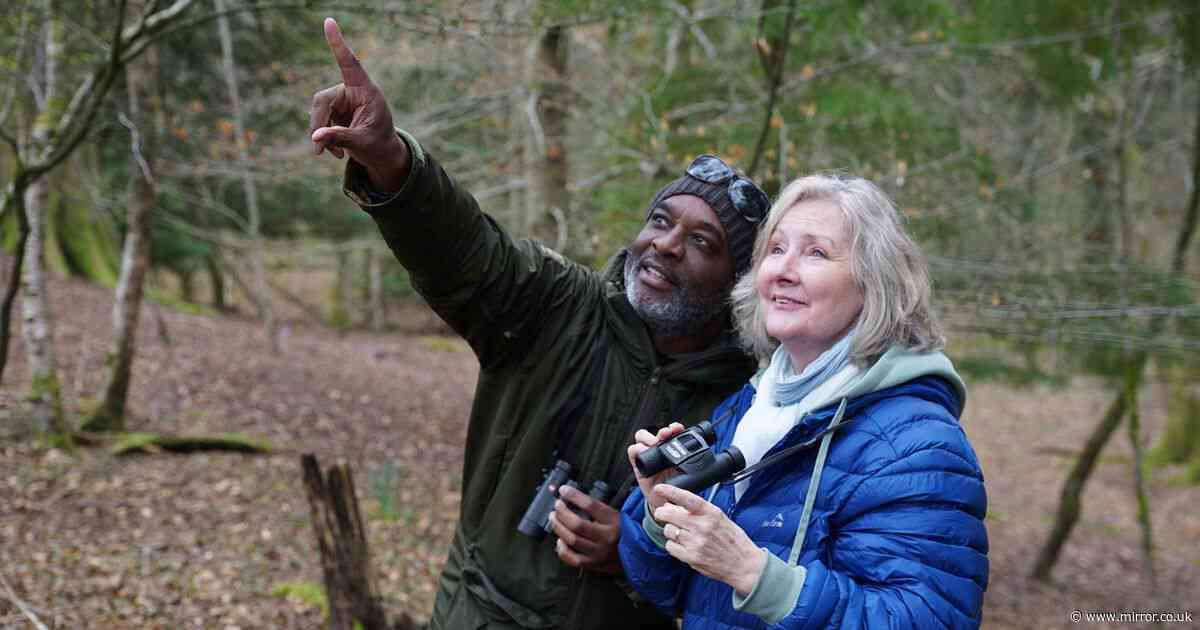 Losing the ability to hear birdsong can be the first sign of hearing loss