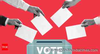 Chhattisgarh's Durg Lok Sabha Election 2024: Date of voting, result, candidates, main parties, schedule