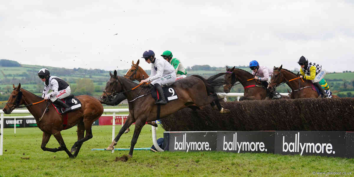 Minella Crooner hits winning note at Punchestown