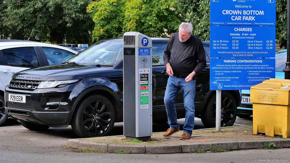 One in six motorists baffled by confusing mess of different parking apps and rules as pay and display machines are phased out