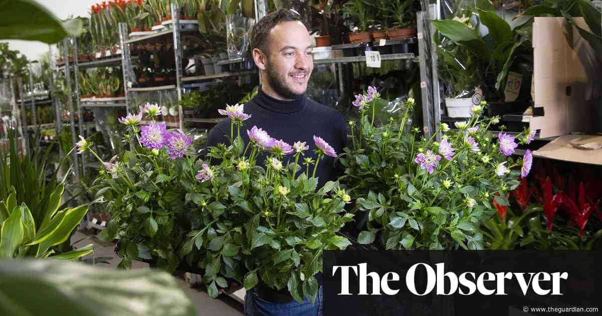 UK flower industry thrown into chaos by new Brexit border checks