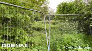 Hopes land won back will become wildlife haven