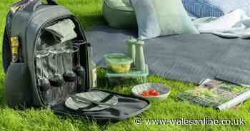 Must-have item 'that makes all picnics magical' reduced to £10 by stacking deals