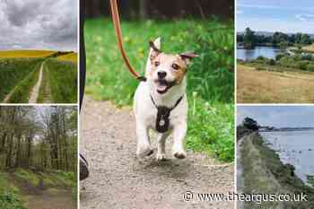 Best dog walking routes in Sussex according to AllTrails